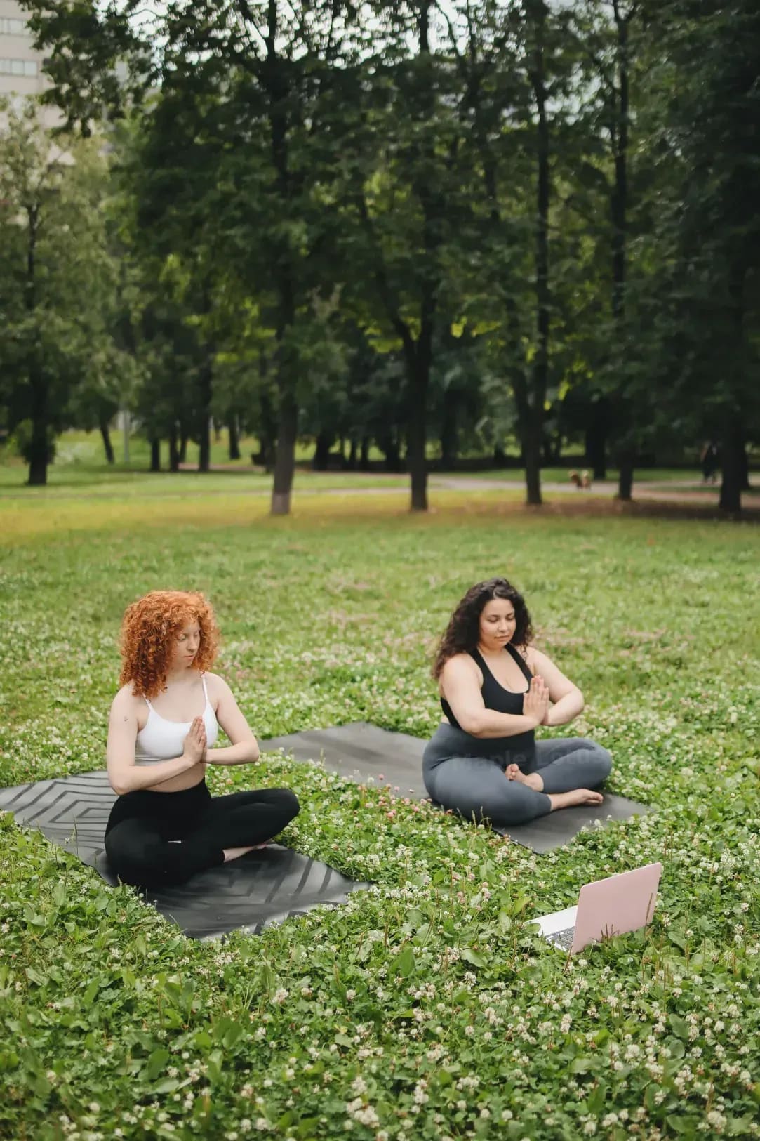 Maple Lotus Yoga 10