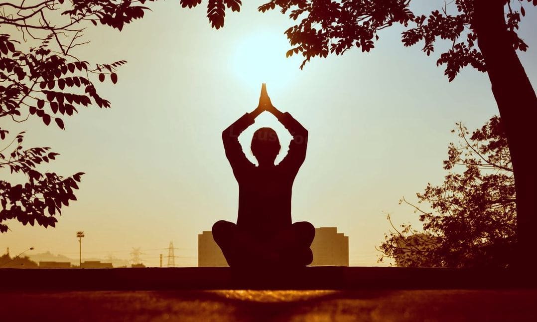 Maple Lotus Yoga 8