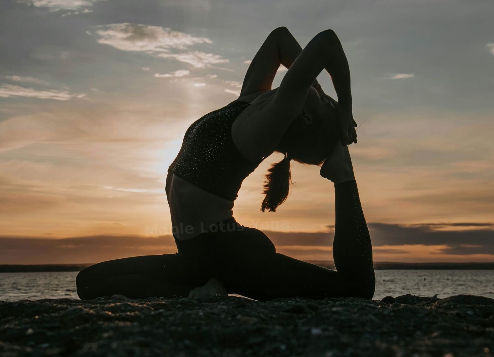 Maple Lotus Yoga